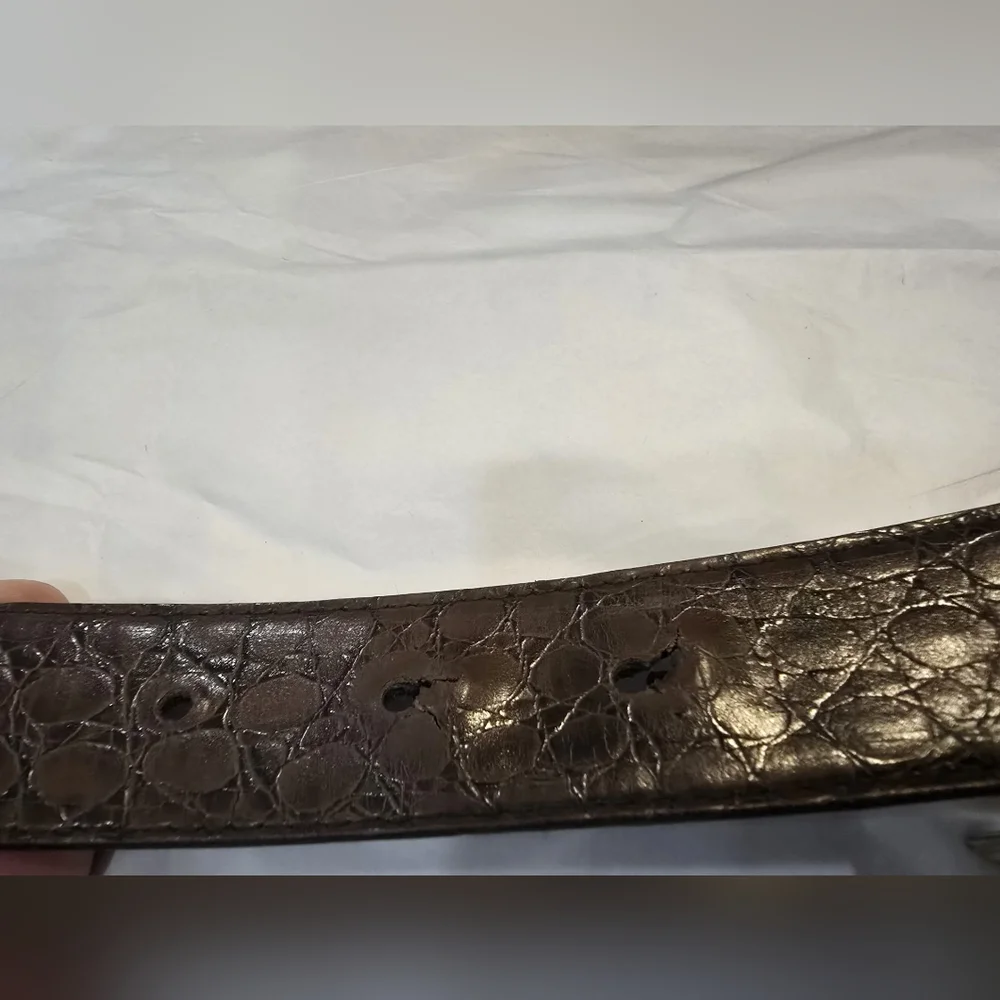 Dior Black and Brown Belt with Gold Buckle - Picture 3 of 5